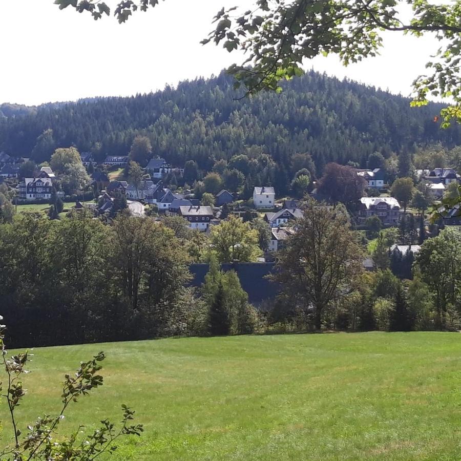 Haus Stefanie Elvire Apartment Altenberg Bagian luar foto