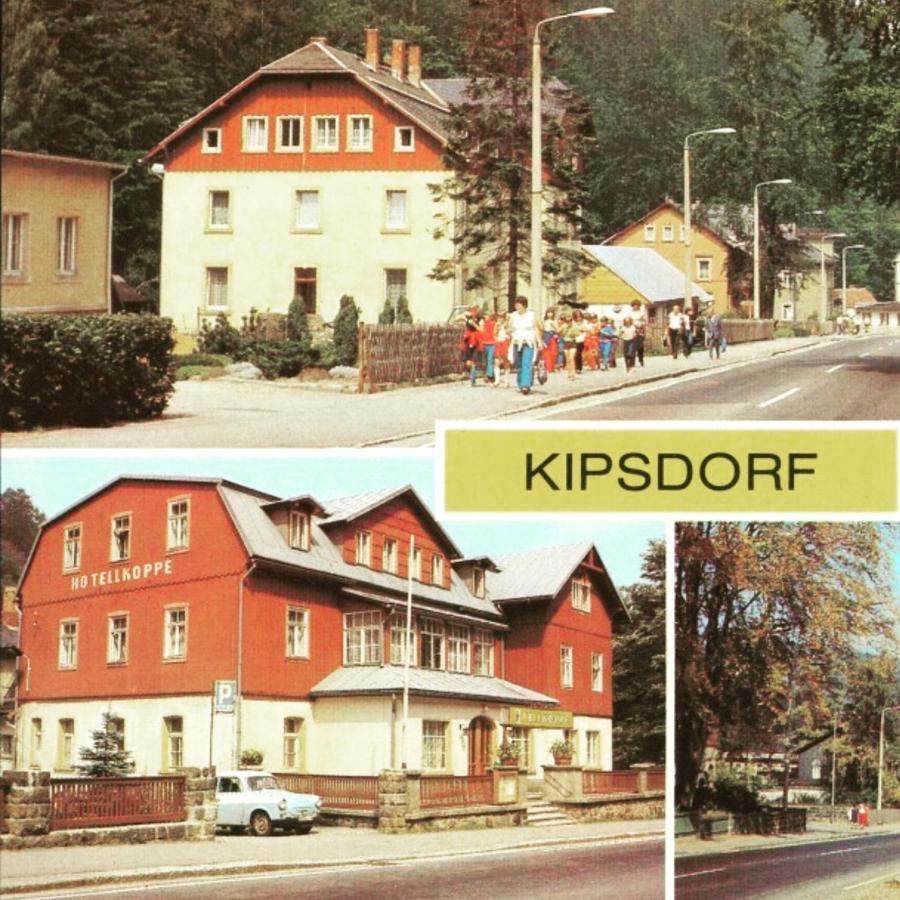 Haus Stefanie Elvire Apartment Altenberg Bagian luar foto
