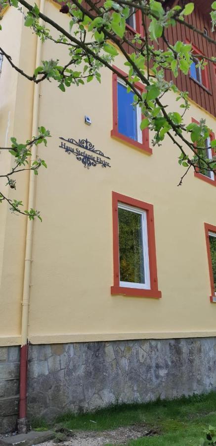Haus Stefanie Elvire Apartment Altenberg Bagian luar foto